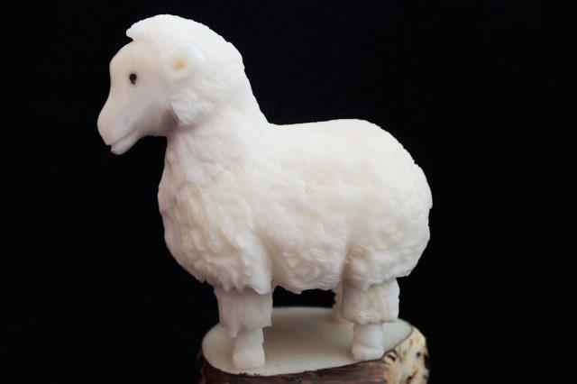Sheep