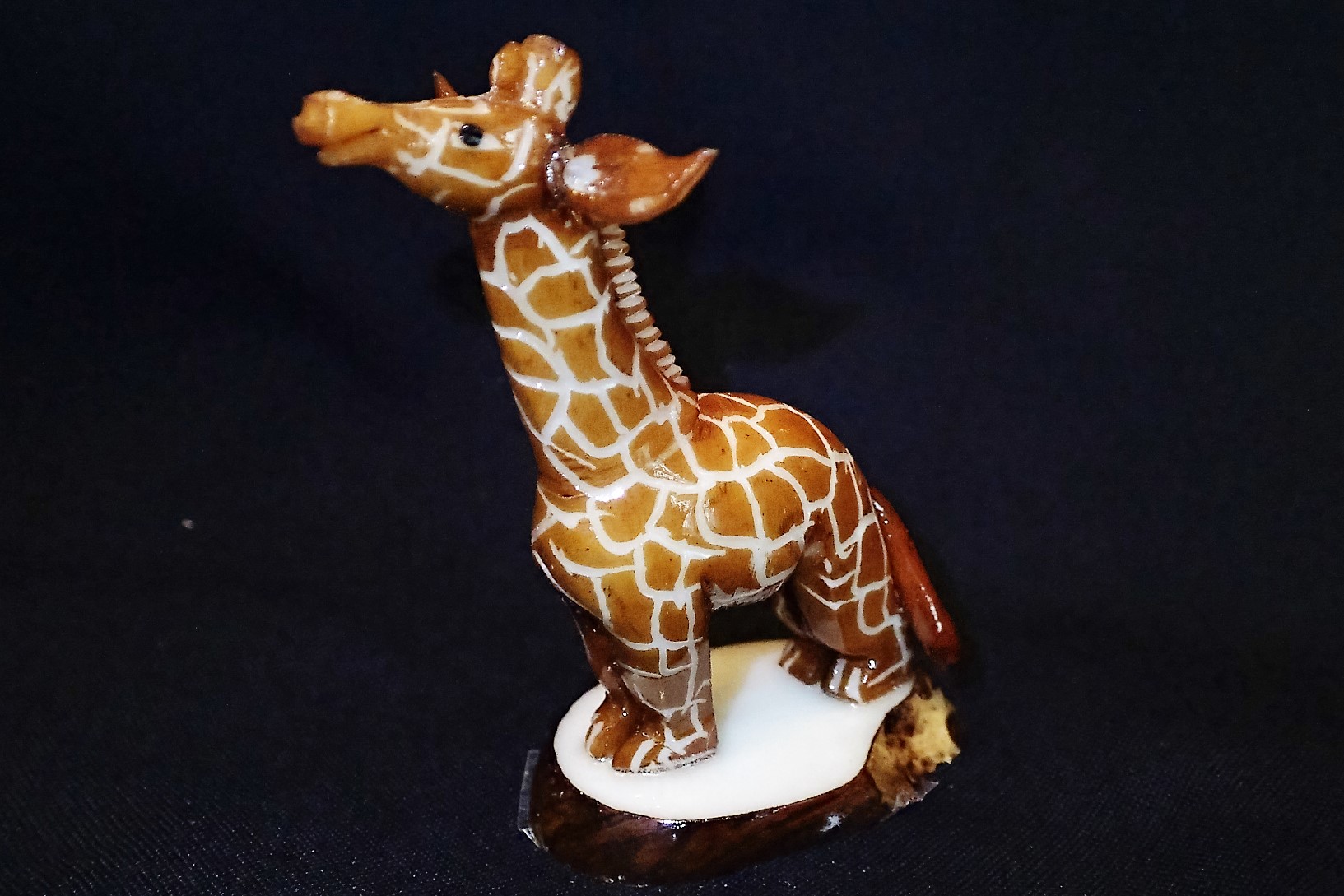 Giraffe (eating)