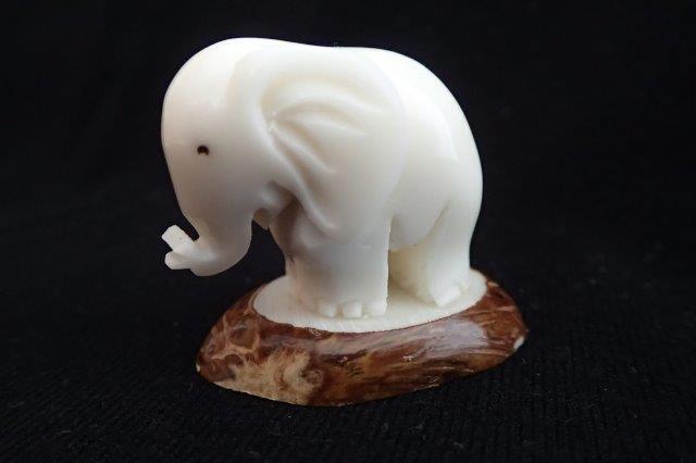 Elephant (small)