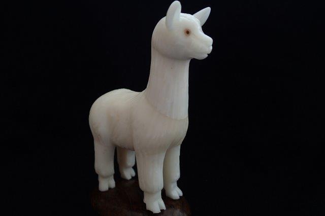 Llamas