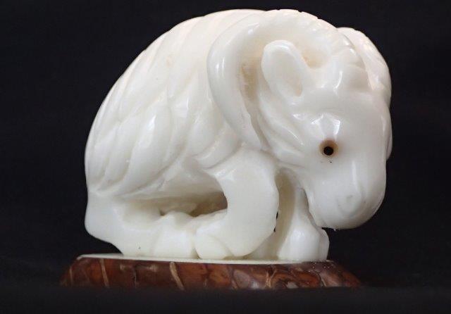 Ram