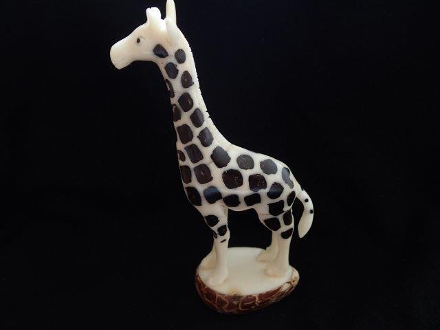 Giraffes