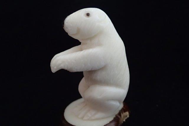 Prairie Dog #2