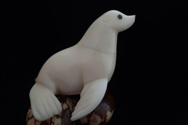 Sea Lion