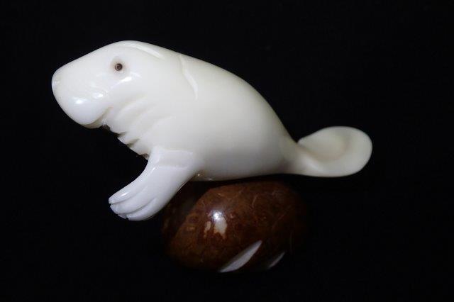 Manatee #3
