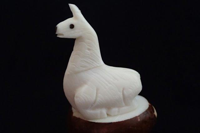 Llama (resting)