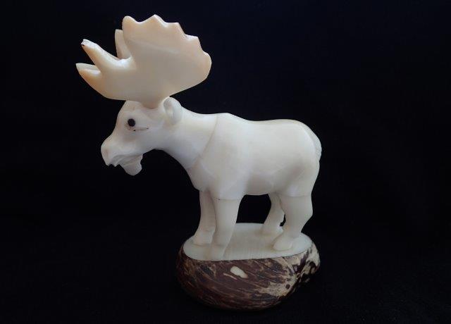 Moose