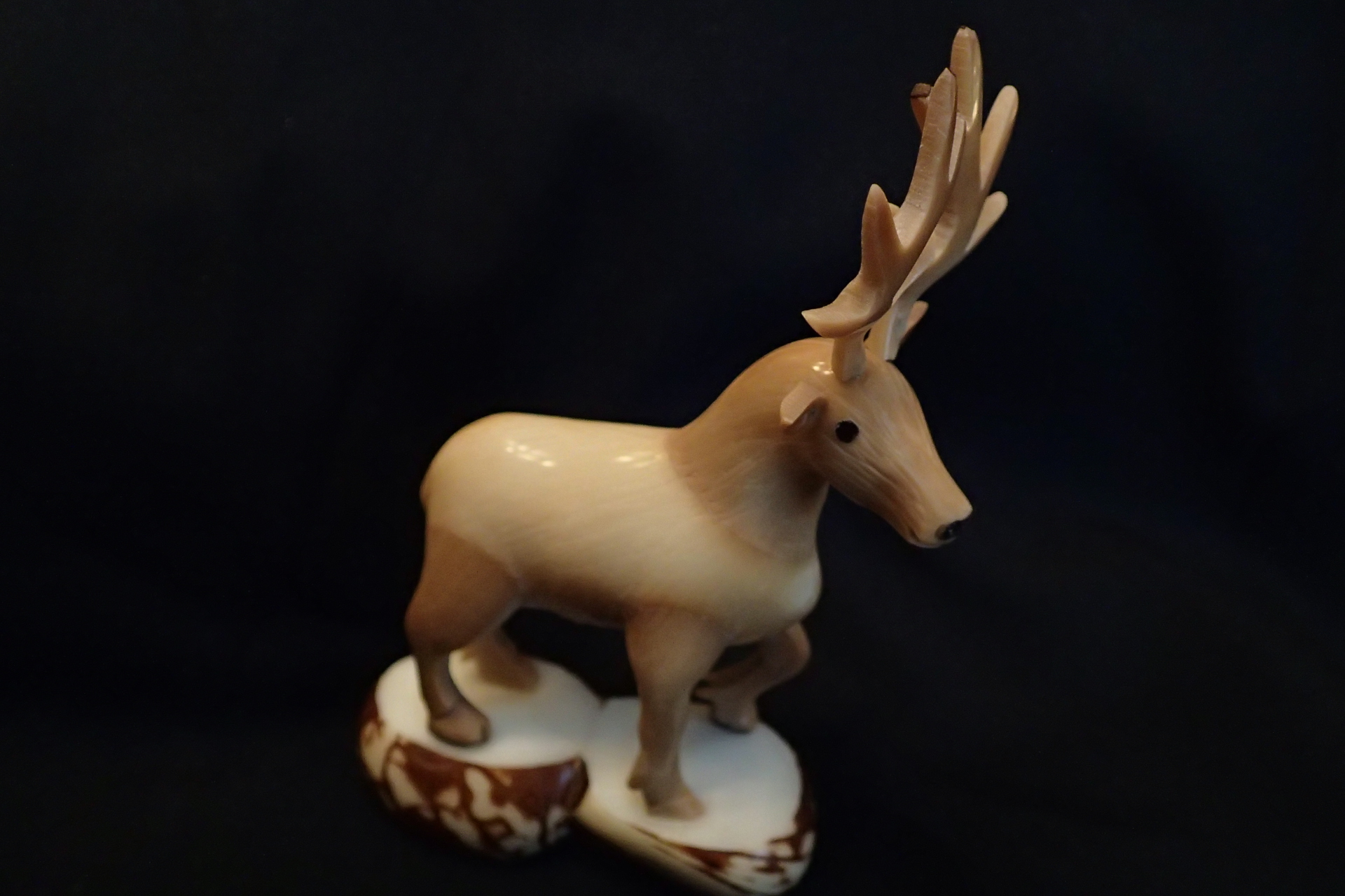 Deer (standing)