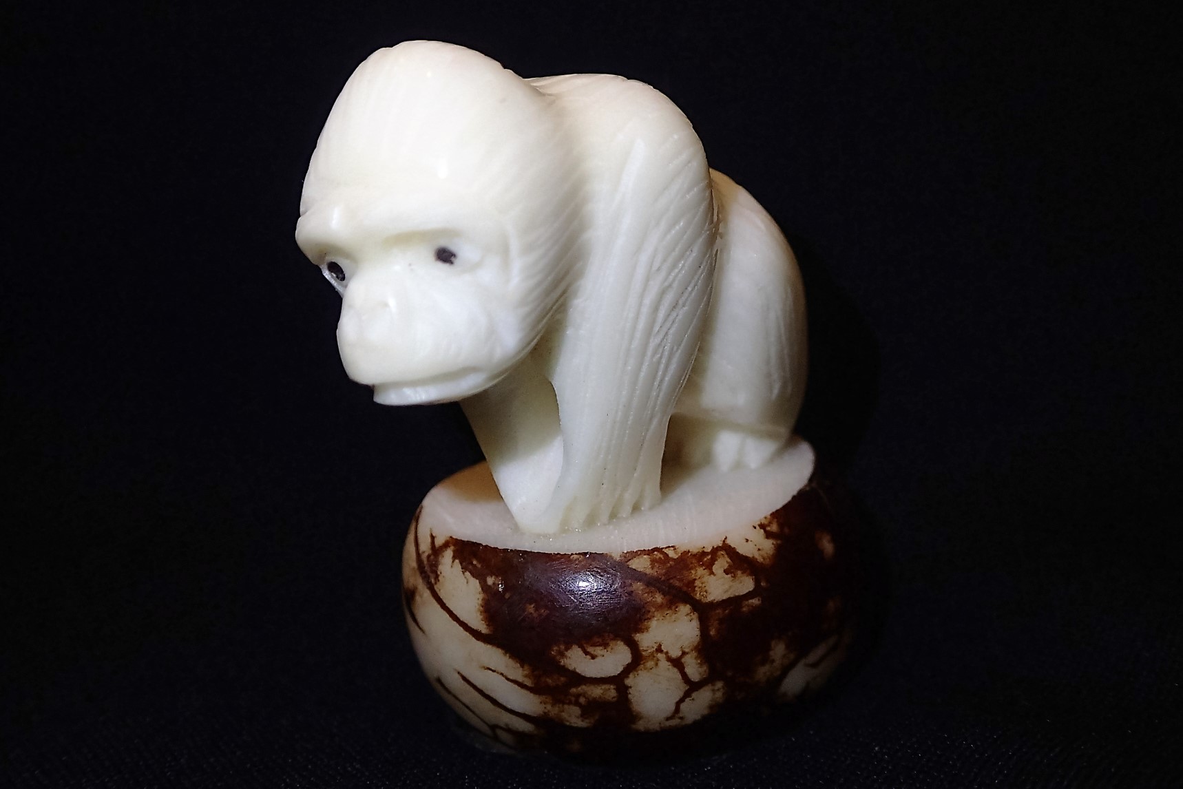 Gorilla #3