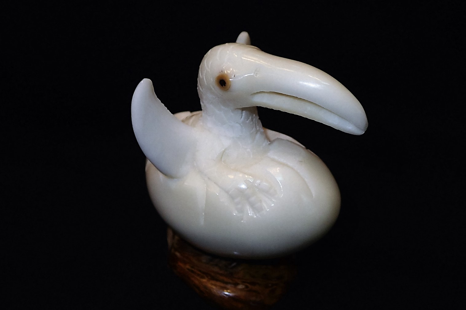 Pterodactyl hatching