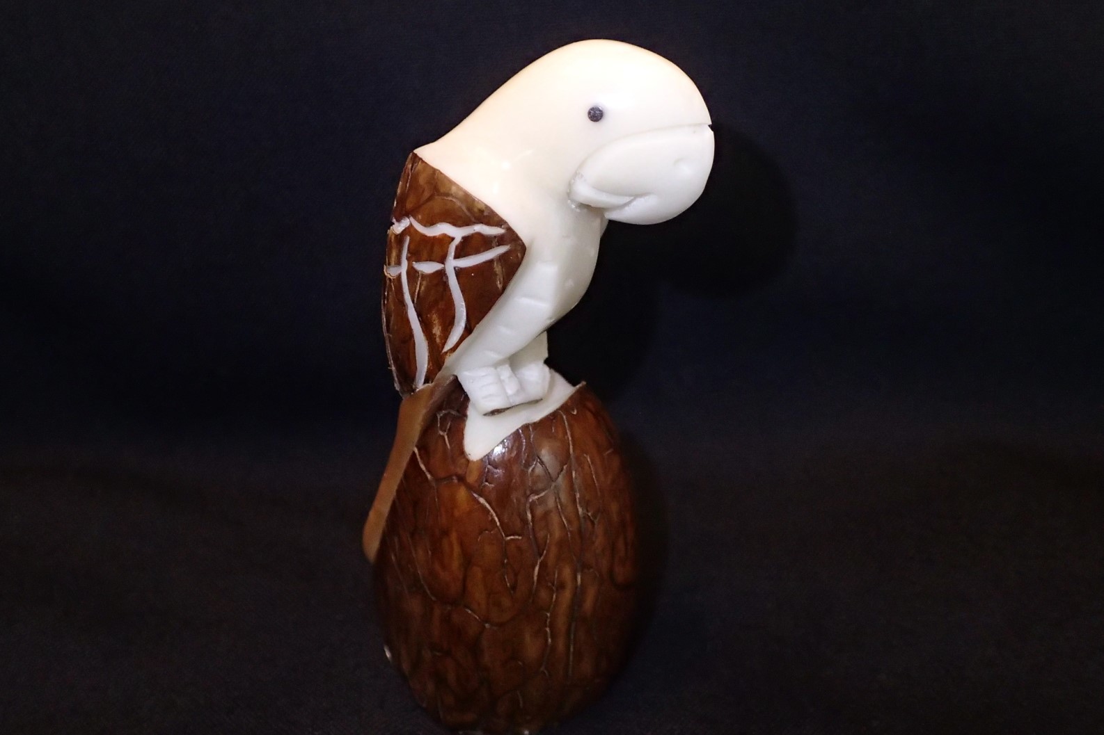 Parrot (small) #2
