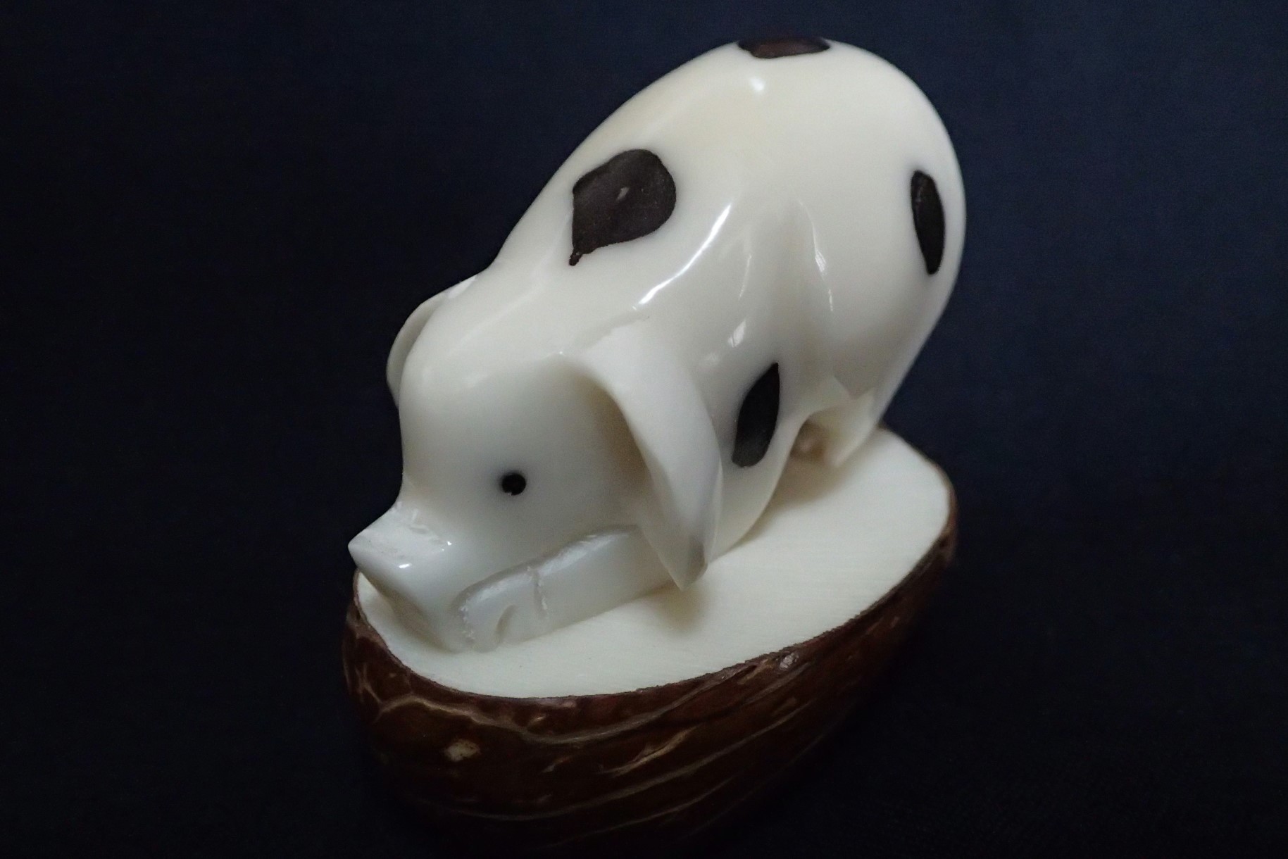 Pig