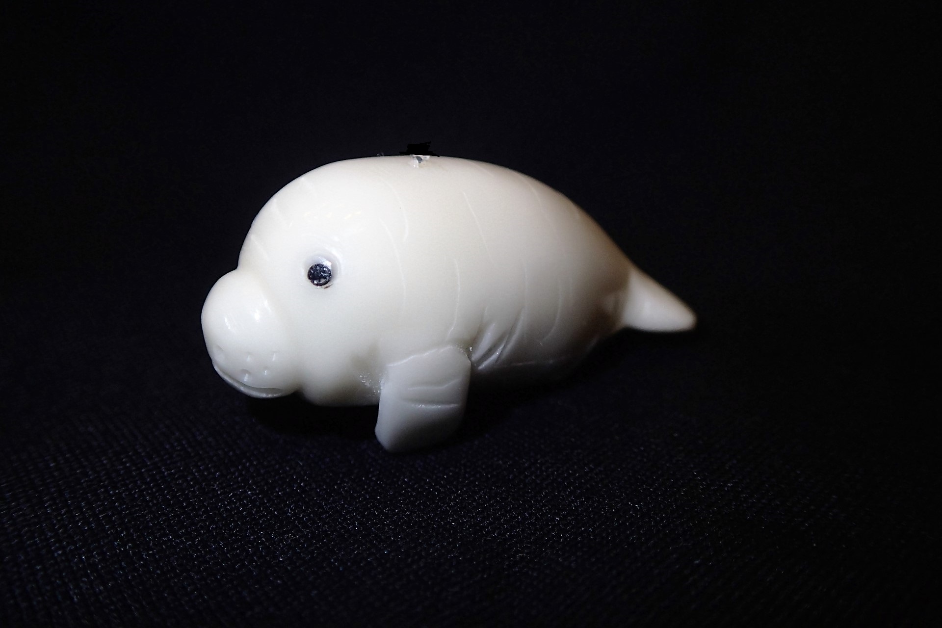 Manatee (small) #2