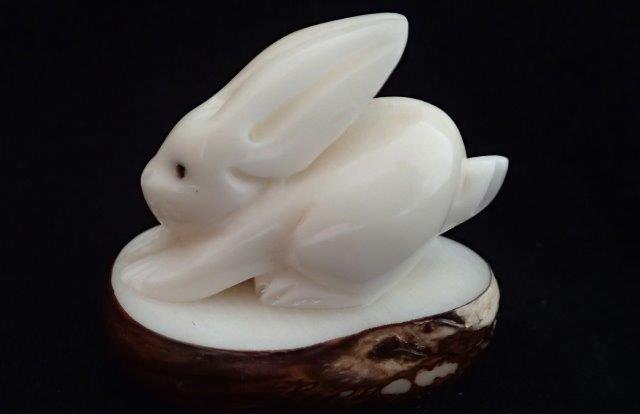 Rabbit (sitting)