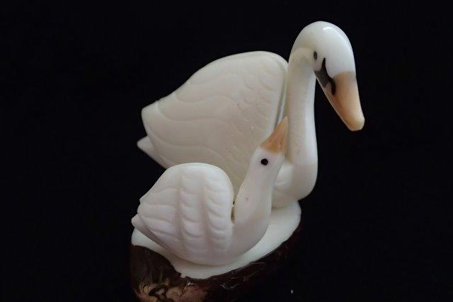 Swan & Cygnet