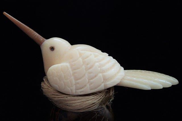 Hummingbird (nesting)