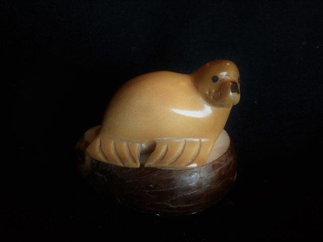 Seal (small, brown)