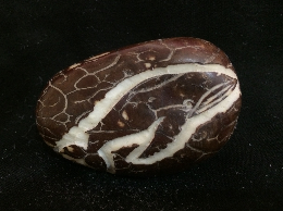 Whale (paperweight)