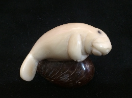 Manatee (resting)