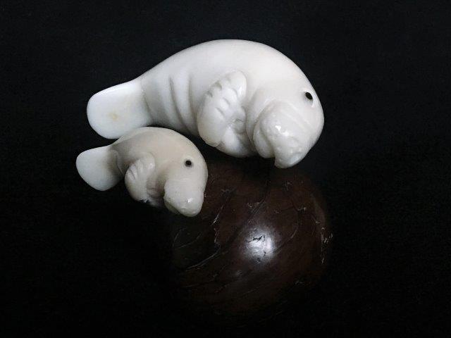 Manatee & Baby