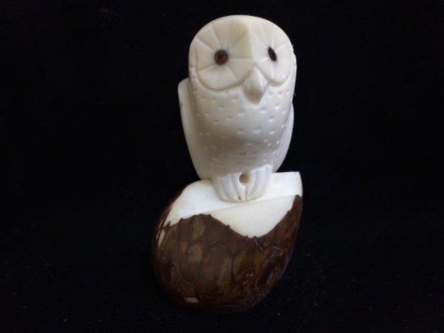 Barn Owl (large)
